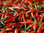 Supplier-Cabe-Rawit-di-Malang