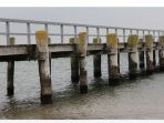 IMG-20260617-WA0026